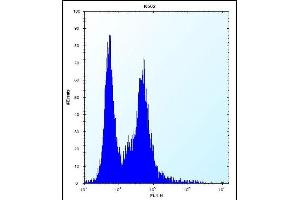 PI15 Antibody (N-term) (ABIN657253 and ABIN2846351) flow cytometric analysis of K562 cells (right histogram) compared to a negative control cell (left histogram). (PI15 antibody  (N-Term))