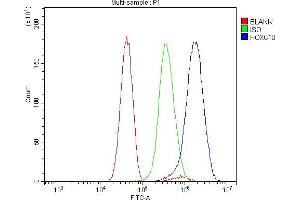Flow Cytometry analysis of U251 cells using anti-HOXC10 antibody (ABIN7599157).
