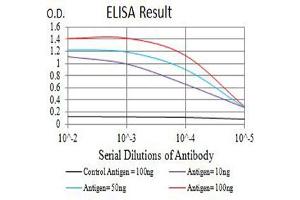 Black line: Control Antigen (100 ng),Purple line: Antigen (10 ng), Blue line: Antigen (50 ng), Red line:Antigen (100 ng) (PSMA antibody  (AA 44-177))