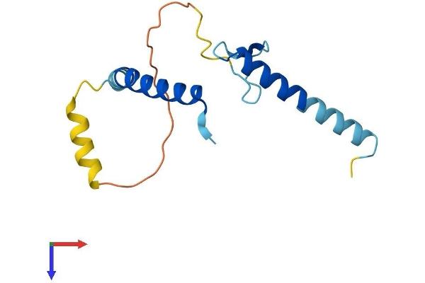LLPH Protein (AA 1-129) (His tag)