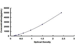 Glyoxalase I (GLO1) ELISA Kit
