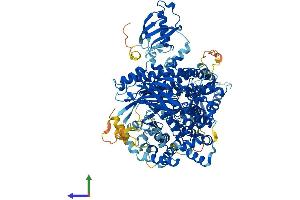 AlphaFold protein structure predicition of Human Recombinant PIK3CD Protein, UniprotID O00329 (PIK3CD Protein (AA 1-1044) (His tag))