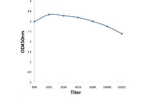 Antigen: 0. (PIK3C3 antibody  (pSer164))