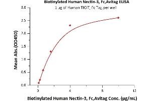 Nectin cell adhesion molecule 3 (NECTIN3) (AA 58-400) (Active) protein (Fc Tag,AVI tag,Biotin)