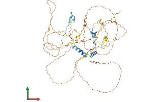 Protein Structure (PS) image for Protein Aurora Borealis (BORA) (AA 1-559) protein (His tag) (ABIN7552842)