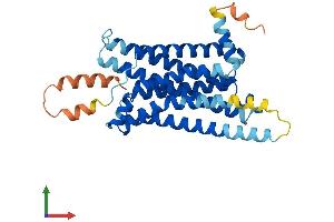 Protein Structure (PS) image for Melanocortin 5 Receptor (MC5R) (AA 1-325) protein (His tag) (ABIN7563223)