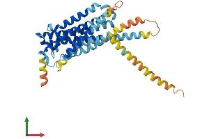 Protein Structure (PS) image for Prostaglandin E Receptor 2 (Subtype EP2), 53kDa (PTGER2) (AA 1-362) protein (His tag) (ABIN7557755)