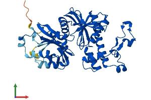 AlphaFold protein structure predicition of Mouse Recombinant Pank3 Protein, UniprotID Q8R2W9 (PANK3 Protein (AA 1-370) (His tag))