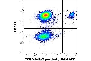 Flow cytometry multicolor surface staining pattern of human lymphocytes using anti-human TCR Vdelta2 (B6) purified antibody (concentration in sample 0,3 μg/mL, GAM APC) and anti-human CD3 (UCHT1) PE antibody (4 μL reagent / 100 μL of peripheral whole blood). (TCR, V delta 2 antibody)