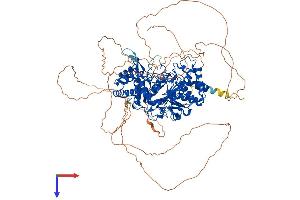 PARG Protein (PARG) (AA 1-976) (His tag)