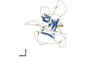 Protein Structure (PS) image for Death-Domain Associated Protein (DAXX) (AA 1-739) protein (His tag) (ABIN7562341)