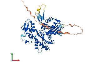 Protein Structure (PS) image for Actin-Like 7b (Actl7b) (AA 1-418) protein (His tag) (ABIN7561781)