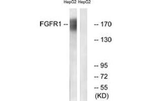 Western blot analysis of extracts from HepG2 cells, using FGFR1 (Ab-766) Antibody.