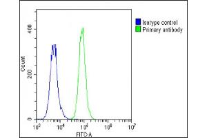 Overlay histogram showing A549 cells stained with (ABIN390928 and ABIN2841130)(green line). (IGFBP4 antibody  (N-Term))