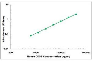 Representative Standard Curve (CD56 ELISA Kit)