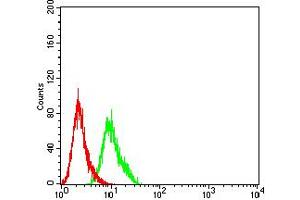 Flow cytometric analysis of Hela cells using AFAP1L2 mouse mAb (green) and negative control (red). (AFAP1L2 antibody  (AA 674-818))