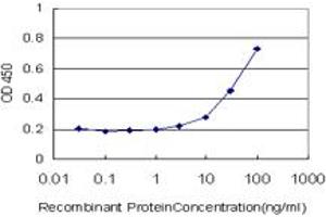 Detection limit for recombinant GST tagged NARS is approximately 3ng/ml as a capture antibody. (NARS antibody  (AA 441-547))