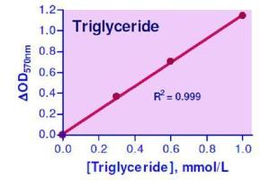 Biochemical Assay (BCA) image for Triglyceride Assay Kit (ABIN1000333) (Triglyceride Assay Kit)