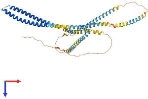 AlphaFold protein structure predicition of Mouse Recombinant Ccdc51 Protein, UniprotID Q3URS9 (CCDC51 Protein (AA 1-406) (His tag))
