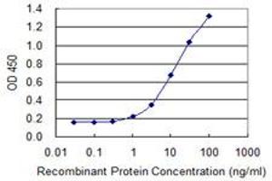 Detection limit for recombinant GST tagged TECTA is 0. (TECTA antibody  (AA 1981-2080))