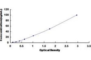 HSP70 ELISA Kit