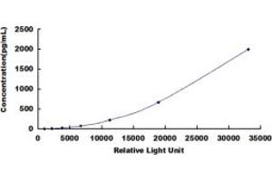ELISA image for Triggering Receptor Expressed On Myeloid Cells 1 (TREM1) CLIA Kit (ABIN491847)