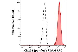 Separation of human CD268 positive lymphocytes (red-filled) from neutrophil granulocytes (black-dashed) in flow cytometry analysis (surface staining) of human peripheral whole blood stained using anti-human CD268 (11C1) purified antibody (concentration in sample 0,6 μg/mL, GAM APC). (TNFRSF13C antibody)