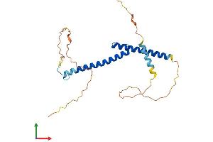 AlphaFold protein structure predicition of Mouse Recombinant Myog Protein, UniprotID P12979