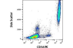 Flow cytometry surface staining pattern of human peripheral whole blood stained using anti-human CD16 (3G8) PE antibody (20 μL reagent / 100 μL of peripheral whole blood). (CD16 antibody  (PE))