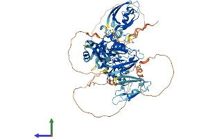 AlphaFold protein structure predicition of Human Recombinant LNX1 Protein, UniprotID Q8TBB1 (LNX1 Protein (AA 1-728) (His tag))
