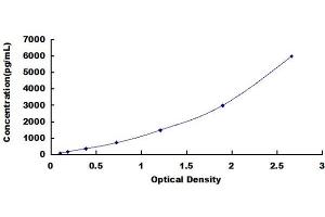 Matrix Gla Protein (MGP) ELISA Kit