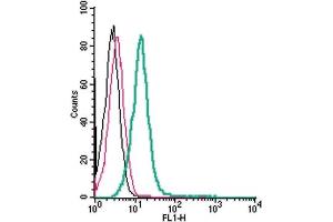 Cell surface detection of CRLR/CALCRL by direct flow cytometry in live intact human  monocytic leukemia cells: + Rabbit IgG isotype control-FITC.