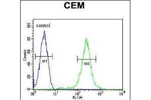 CFP Antibody (Center) (ABIN653898 and ABIN2843141) flow cytometric analysis of CEM cells (right histogram) compared to a negative control cell (left histogram). (CFP antibody  (AA 197-223))