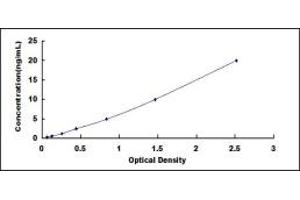 Typical standard curve (Butyrylcholinesterase ELISA Kit)