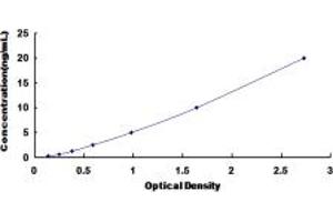 HSPBP1 ELISA Kit