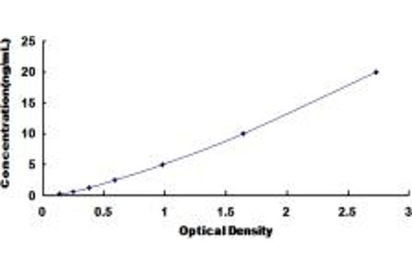 HSPBP1 ELISA Kit