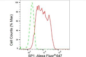 Flow cytometric analysis of SP1 expression in HeLa cells using SP1 antibody (ABIN7800414), 1:2,000). (Recombinant SP1 antibody)