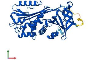 Protein Structure (PS) image for serpin Peptidase Inhibitor, Clade B (Ovalbumin), Member 5 (SERPINB5) (AA 1-375) protein (His tag) (ABIN7556662)