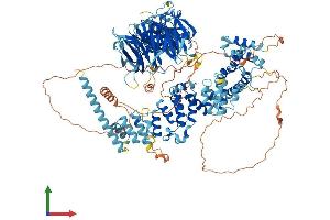 AlphaFold protein structure predicition of Mouse Recombinant Hps5 Protein, UniprotID P59438 (HPS5 Protein (AA 1-1126) (His tag))