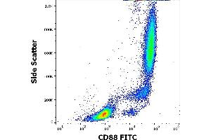 Flow cytometry surface staining pattern of human peripheral whole blood stained using anti-human CD88 (S5/1) FITC antibody (4 μL reagent / 100 μL of peripheral whole blood). (C5AR1 antibody  (AA 15-27) (FITC))