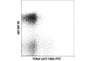 Flow Cytometry of anti-TCRbeta PE - 200-B08-N92 Flow Cytometry of anti-TCRbeta Phycoerythrin Conjugated Monoclonal Antibody. (TCR beta antibody  (PE))