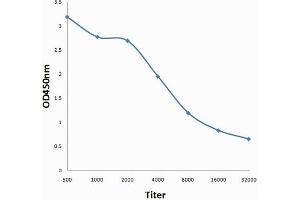 Antigen: 0. (CEA antibody  (AA 315-365))