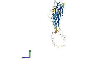 AlphaFold protein structure predicition of Mouse Recombinant Mospd3 Protein, UniprotID Q8BGG6 (MOSPD3 Protein (AA 1-235) (His tag))