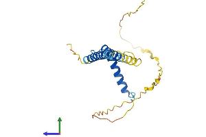 Protein Structure (PS) image for Coiled-Coil Domain Containing 28B (CCDC28B) (AA 1-200) protein (His tag) (ABIN7559286)