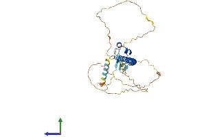 AlphaFold protein structure predicition of Human Recombinant NFE2 Protein, UniprotID Q16621 (NFE2 Protein (AA 1-373) (His tag))