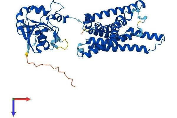 STEAP4 Protein (AA 1-459) (His tag)