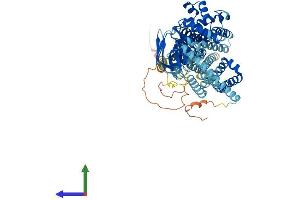 AlphaFold protein structure predicition of Human Recombinant ABCD1 Protein, UniprotID P33897 (ABCD1 Protein (AA 1-745) (His tag))