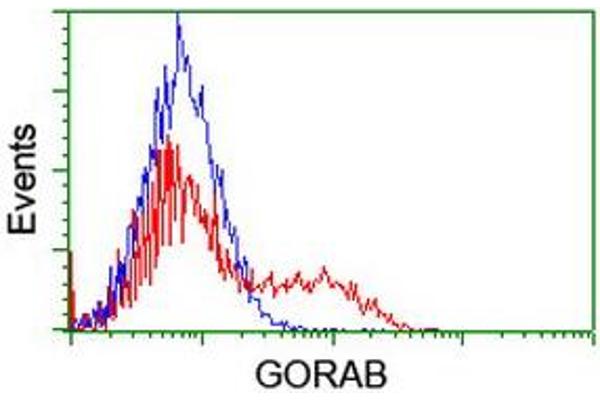 GORAB anticorps  (AA 35-394)