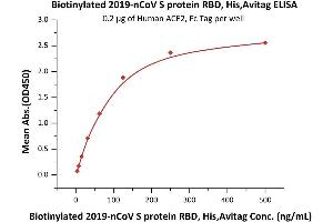 Immobilized Human ACE2, Fc Tag (MALS verified) ( ABIN6952459) at 2 μg/mL (100 μL/well) can bind Biotinylated 2019-nCoV (COVID-19) S protein RBD, His,Avitag (MALS verified) ( ABIN6952456) with a linear range of 4-125 ng/mL (QC tested).