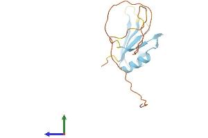 AlphaFold protein structure predicition of Human Recombinant RBM3 Protein, UniprotID P98179